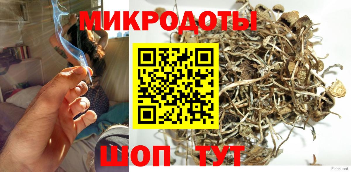 Галлюциногенные грибы мицелий Ялта