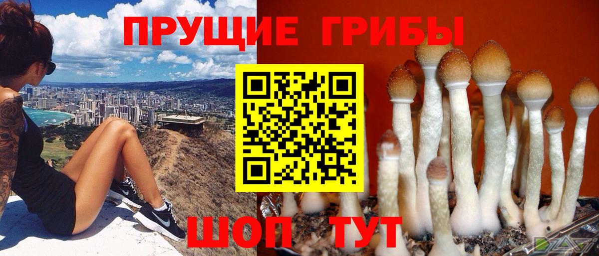 наркошоп  Вход с VPN  Ялта  Псилоцибиновые грибы Psilocybine cubensis 